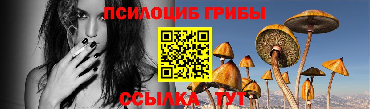 Галлюциногенные грибы Cubensis Горячий Ключ